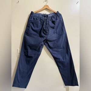 Alex Mill Deep Blue Pants